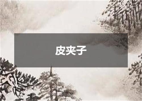 皮夹子