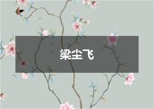 梁尘飞