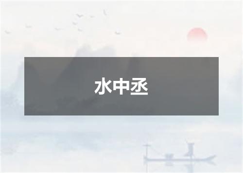 水中丞