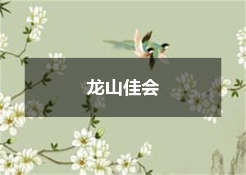 龙山佳会