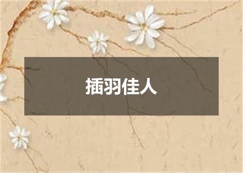 插羽佳人