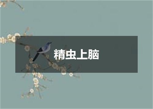 精虫上脑