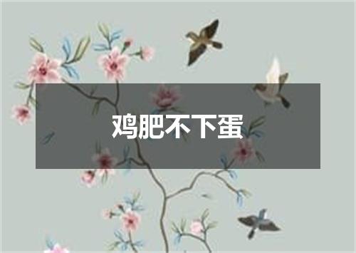 鸡肥不下蛋