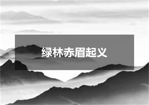 绿林赤眉起义