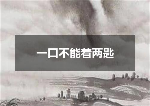 一口不能着两匙
