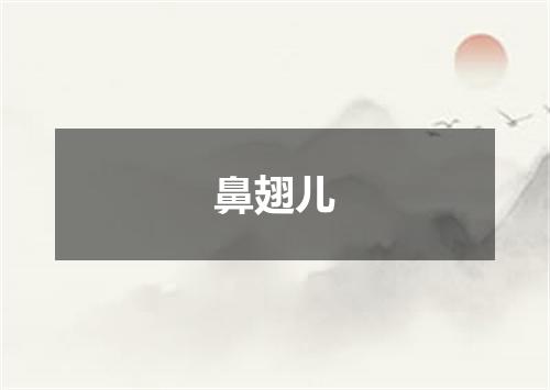 鼻翅儿