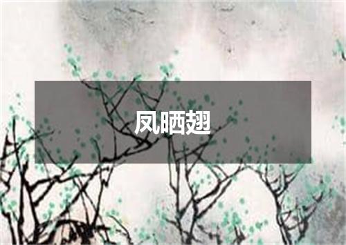 凤晒翅