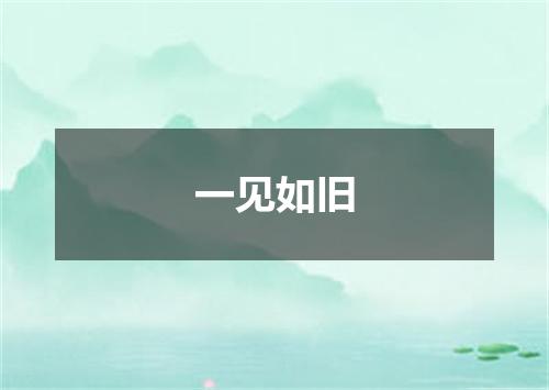 一见如旧