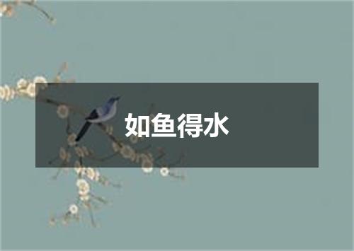 如鱼得水
