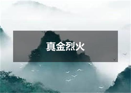 真金烈火