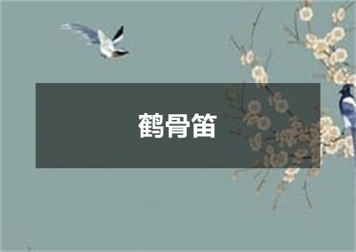 鹤骨笛