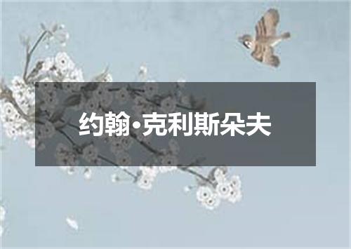 约翰·克利斯朵夫