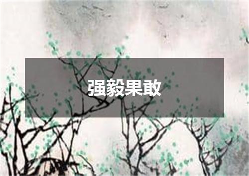 强毅果敢