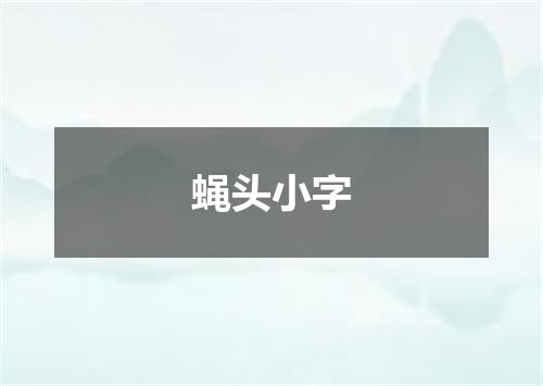 蝇头小字