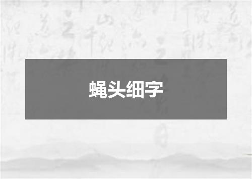 蝇头细字