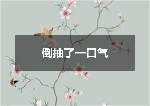倒抽了一口气