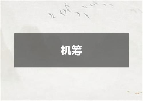 机筹