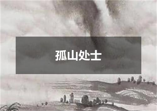 孤山处士