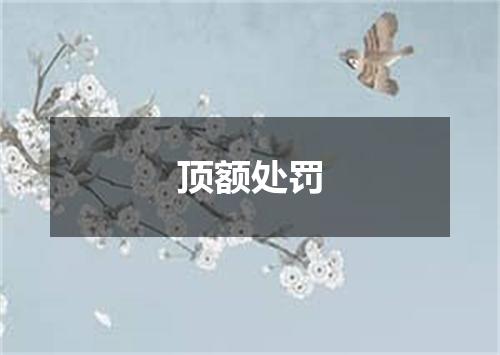 顶额处罚