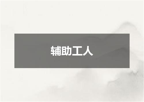 辅助工人