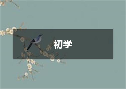 初学