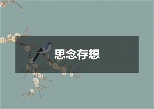 思念存想