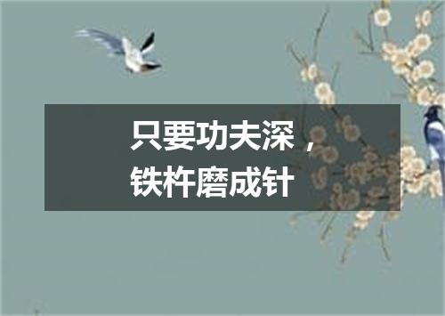 只要功夫深，铁杵磨成针
