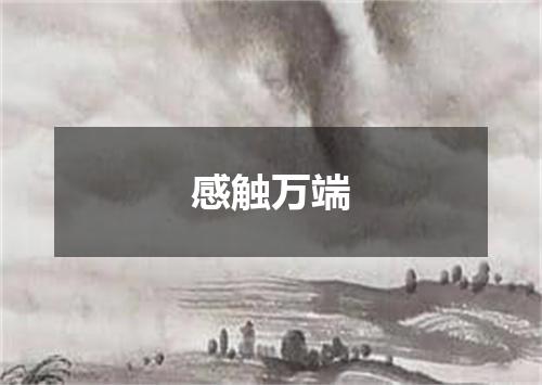 感触万端