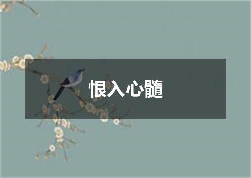 恨入心髓