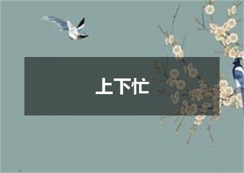 上下忙