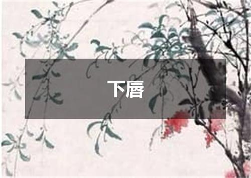下唇