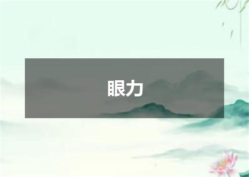 眼力