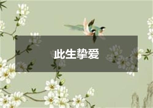 此生挚爱