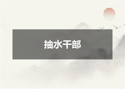 抽水干部
