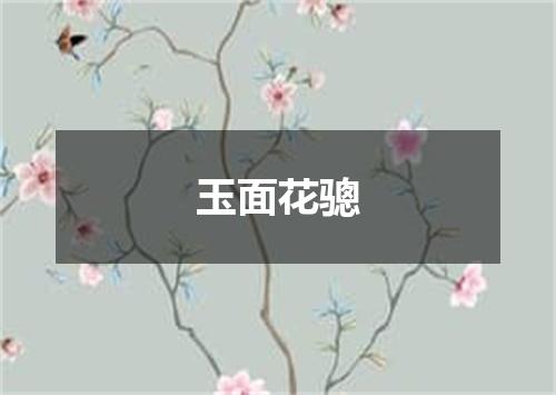 玉面花骢