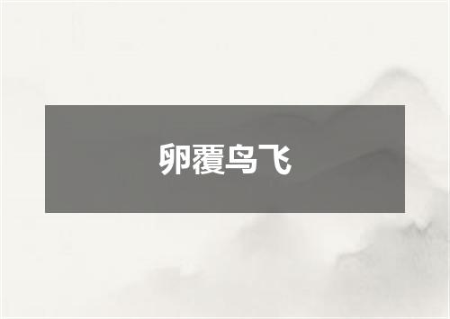 卵覆鸟飞
