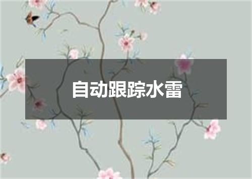 自动跟踪水雷