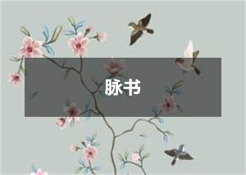 脉书