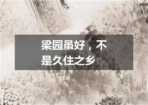 梁园虽好，不是久住之乡