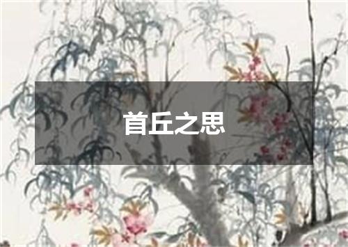 首丘之思