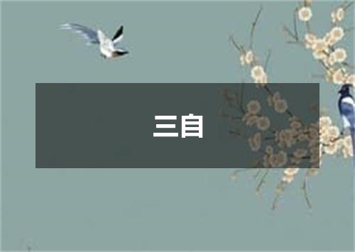 三自