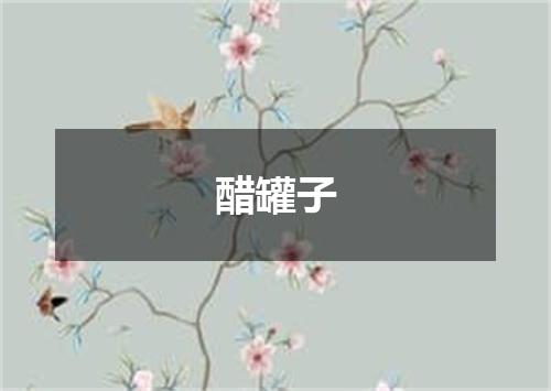 醋罐子