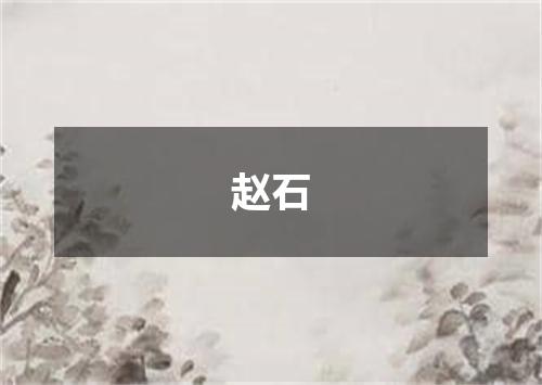 赵石