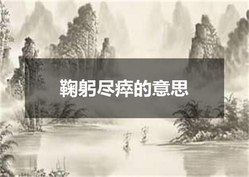 鞠躬尽瘁的意思