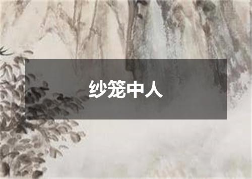 纱笼中人