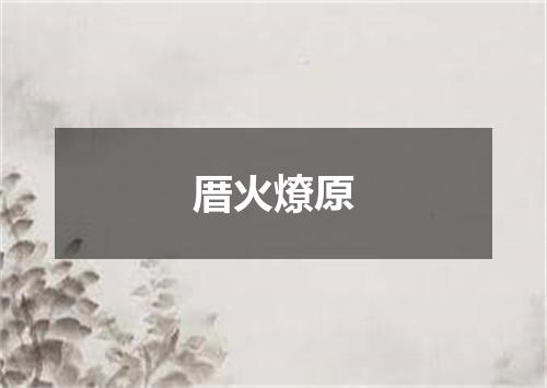 厝火燎原