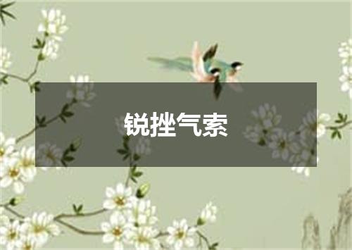 锐挫气索