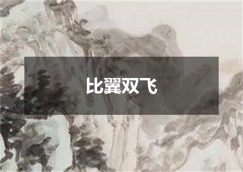 比翼双飞