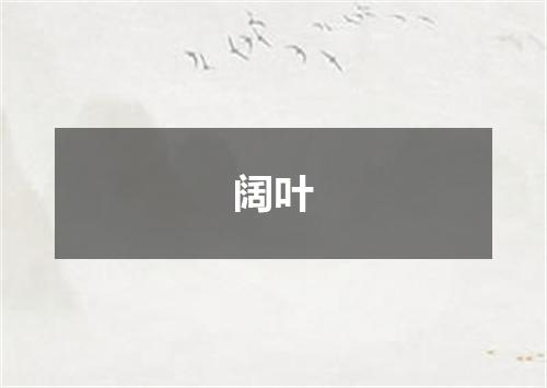 阔叶