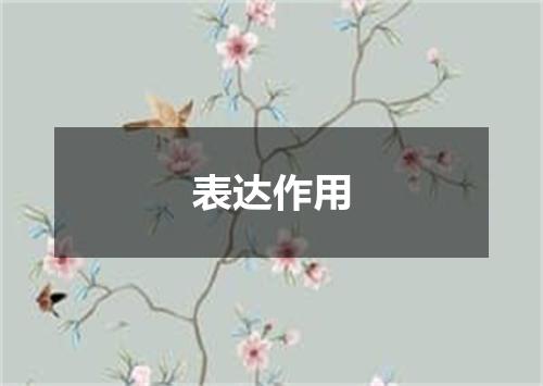 表达作用